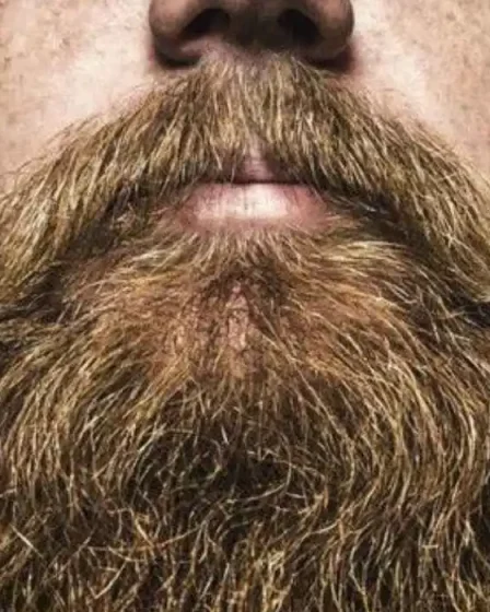 poner barba en las fotos