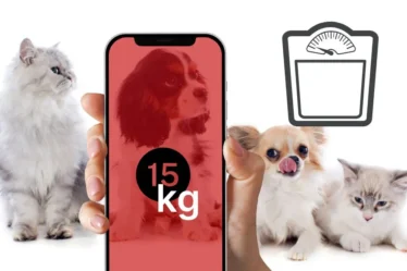 Aplicación para medir a tus animales