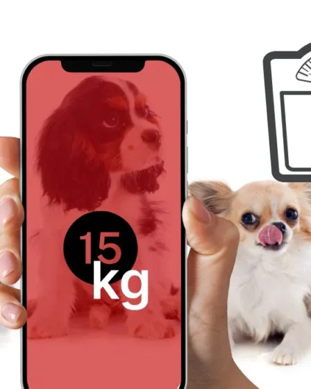 Aplicación para medir a tus animales