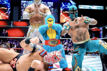 Consejos para seguir la lucha libre gratis