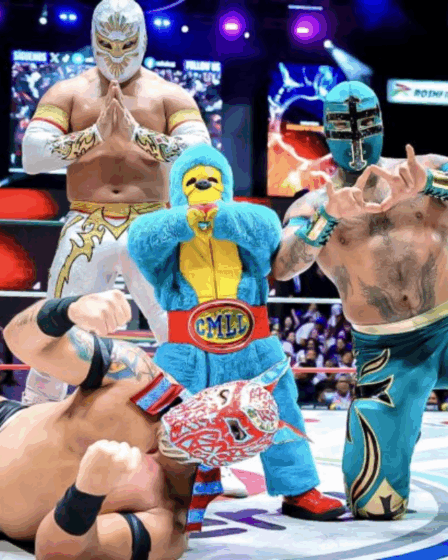 Consejos para seguir la lucha libre gratis