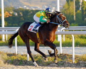 carreras de caballos