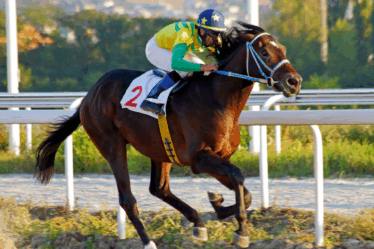 carreras de caballos