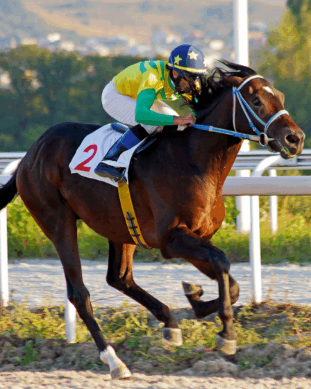 carreras de caballos